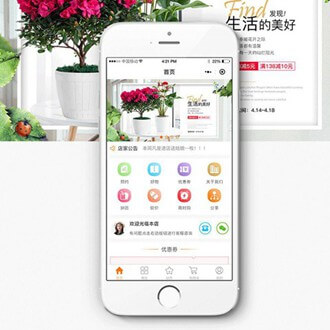 佳县门店微商城小程序开发