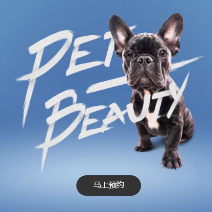 佳县宠物中心小程序开发