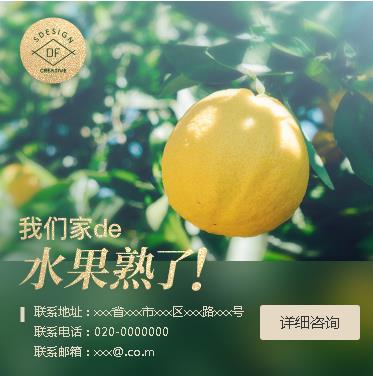 佳县果园果林小程序开发